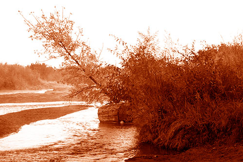 Tilted Fall Tree Over Flowing River (Orange Shade Photo)