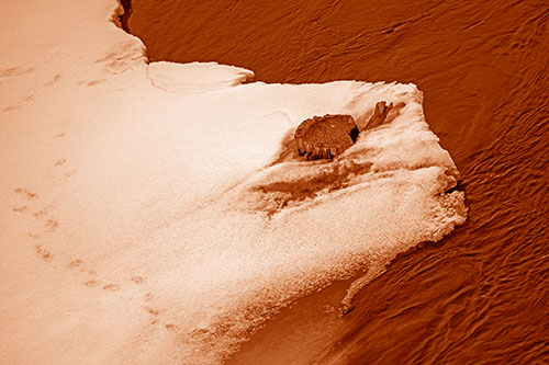 Tree Stump Eyed Snow Face Creature Along River Shoreline (Orange Shade Photo)