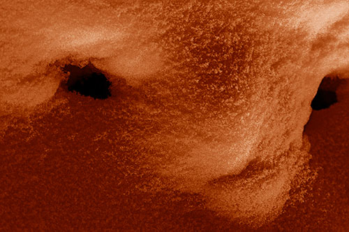 Triangle Powdered Snow Face Atop Soil (Orange Shade)