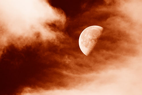Upside Down Creature Cloud Moon Gazing (Orange Shade Photo)