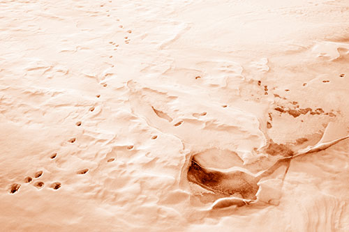 V Shaped Footprint Path Across Frozen Snow Covered River (Orange Shade Photo)