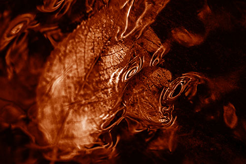 Water Ripple Faced Leaf In Submerged Trance (Orange Shade)