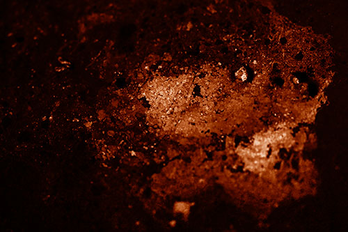 Wide Eyed Oil Demon Face Floating Atop Water (Orange Shade)