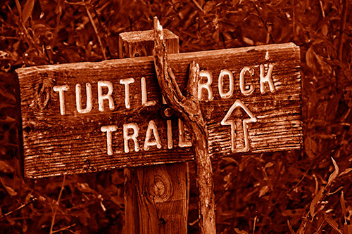 Wooden Turtle Rock Trail Sign (Orange Shade Photo)