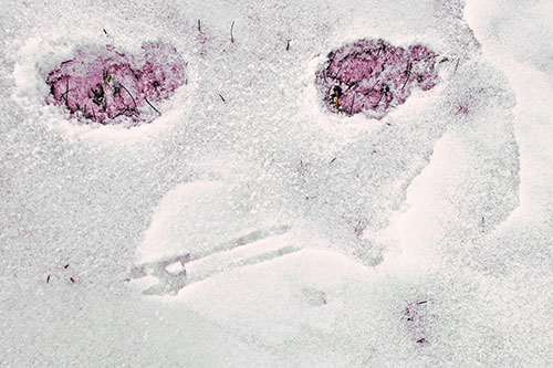 Beak Mouthed Footprint Face Among Snow (Orange Tint)