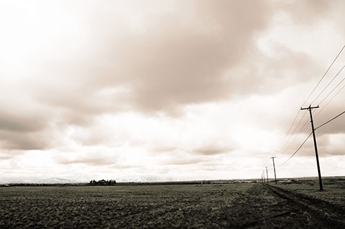 Bleak Clouded Sky Consumes Powerline Prairie (Orange Tint Photo)