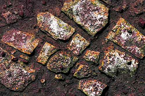 Dirt Covered Stepping Stones (Orange Tint Photo)