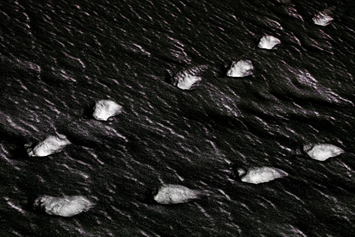 Distancing Snow Footprints (Orange Tint)