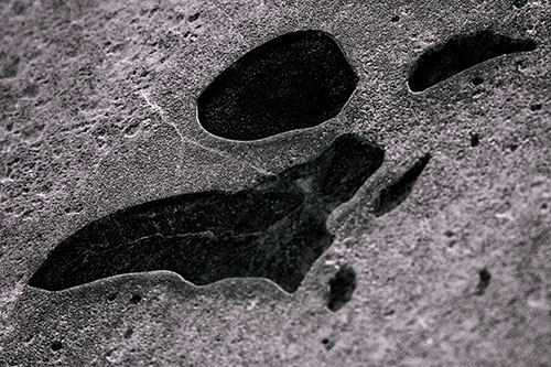 Distorted Skull Face Within Frozen Ice (Orange Tint Photo)