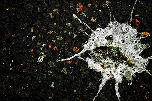 Distressed Bird Excrement Face Splattered Among Pavement (Orange Tint)