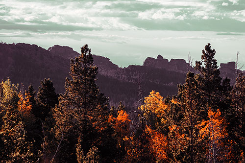Fall Colors Emerge Infront Of Mountain Range (Orange Tint Photo)