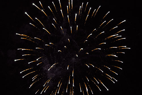 Firework Star Trails Vaporize Among Night Sky (Orange Tint Photo)