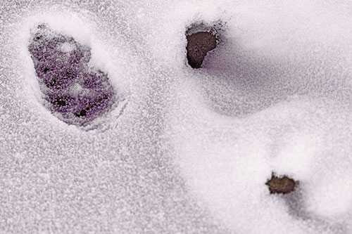 Footprint Eye Snow Face Atop Rock Surface (Orange Tint)