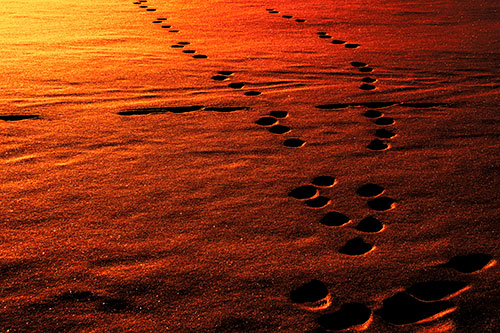 Footprint Trail Across Snow Covered Lake (Orange Tint Photo)