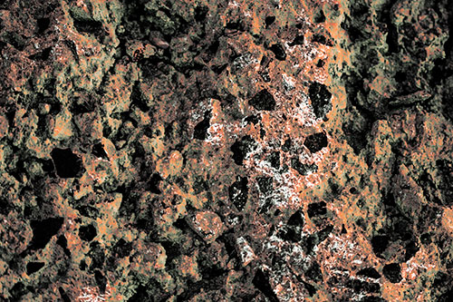Fungi Covers Rugged Surfaced Stone (Orange Tint Photo)