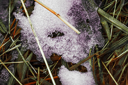 Half Melted Ice Face Smirking Among Reed Grass (Orange Tint Photo)