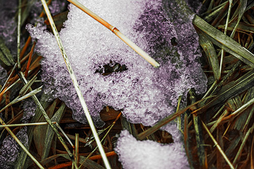 Half Melted Ice Face Smirking Among Reed Grass (Orange Tint)