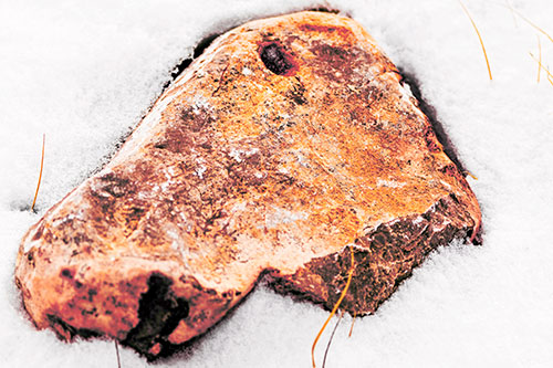 Horse Faced Rock Imprinted In Snow (Orange Tint Photo)
