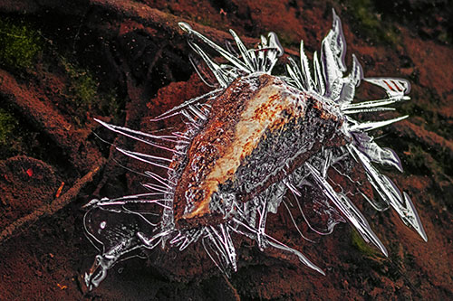 Jagged Spiked Ice Surrounds Water Submerged Rock (Orange Tint Photo)