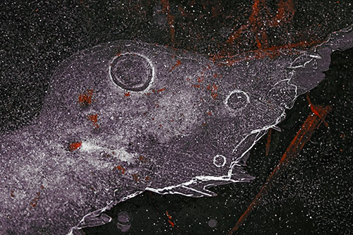 Large Headed Bubble Eyed Ice Face Frozen Among River (Orange Tint)