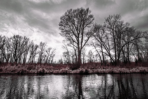 Leafless Trees Cast Reflections Along River Water (Orange Tint Photo)