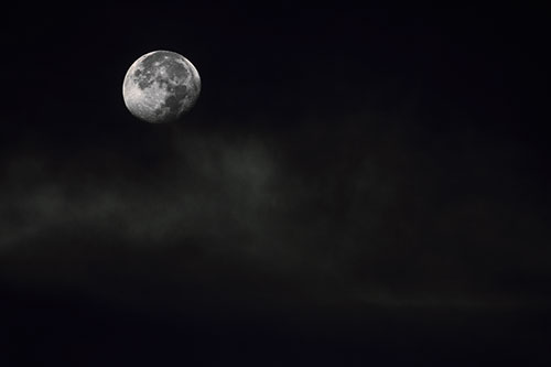 Moon Begins Descent Beyond Faint Mist Cloud (Orange Tint Photo)
