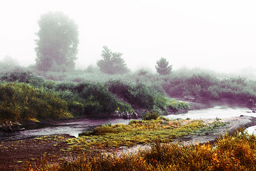 River Flowing Along Foggy Vegetation (Orange Tint Photo)
