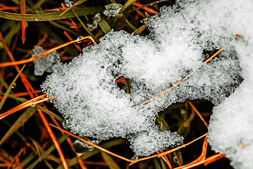 Sad Melting Grass Tangled Snow Face (Orange Tint)