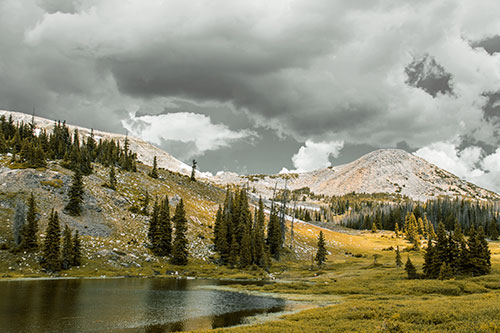 Scattered Trees Along Mountainside (Orange Tint)