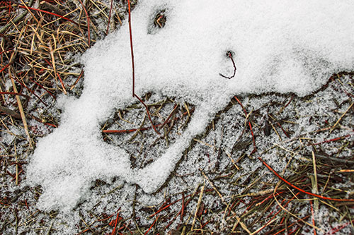Screaming Stick Eyed Snow Face Among Grass (Orange Tint Photo)