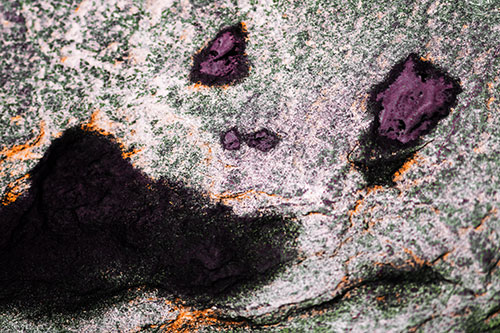 Shocked Puddle Face Drying Among Rock Surface (Orange Tint)