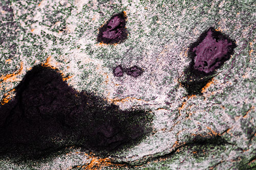 Shocked Puddle Face Drying Among Rock Surface (Orange Tint Photo)