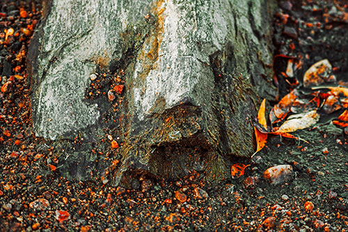 Slime Covered Rock Face Resting Along Shoreline (Orange Tint Photo)