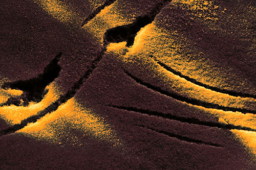 Snowy Bird Footprint Claw Marks (Orange Tint Photo)
