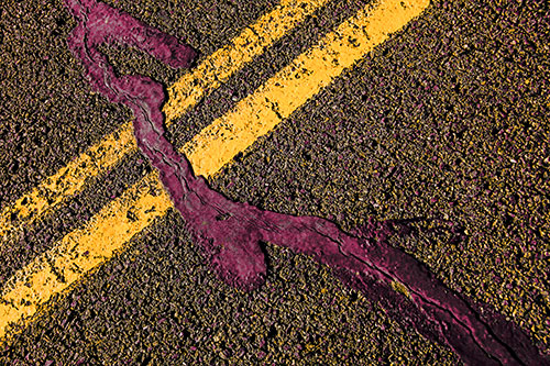 Tar Creeping Over Sidewalk Pavement Lane Marks (Orange Tint Photo)