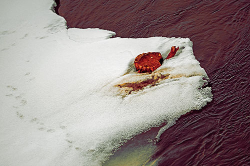 Tree Stump Eyed Snow Face Creature Along River Shoreline (Orange Tint Photo)