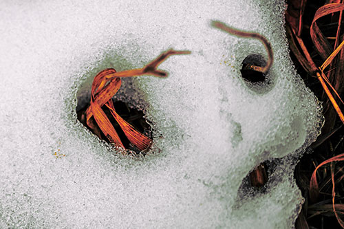 Twisting Grass Eyed Snow Face (Orange Tint)