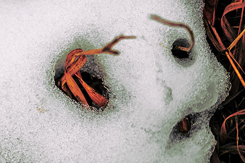 Twisting Grass Eyed Snow Face (Orange Tint Photo)