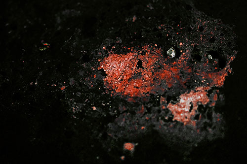 Wide Eyed Oil Demon Face Floating Atop Water (Orange Tint)