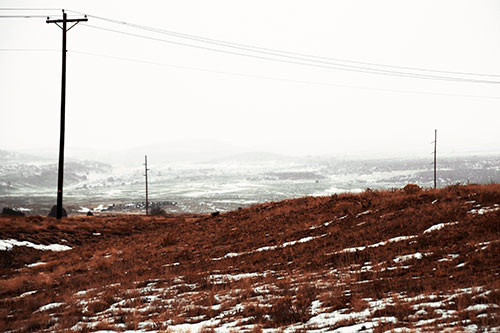 Winter Snowstorm Approaching Powerlines (Orange Tint Photo)