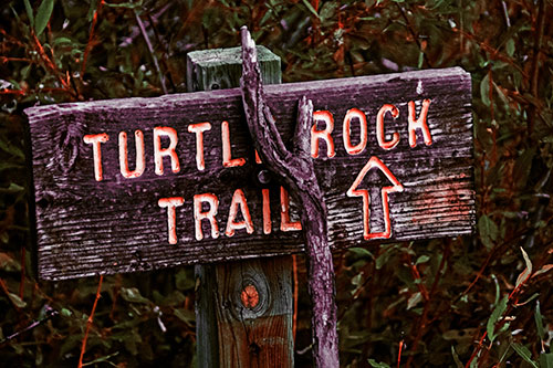 Wooden Turtle Rock Trail Sign (Orange Tint Photo)