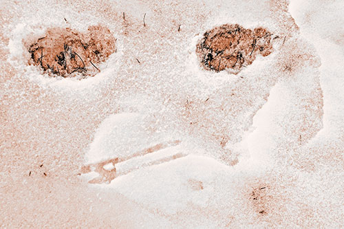 Beak Mouthed Footprint Face Among Snow (Orange Tone)