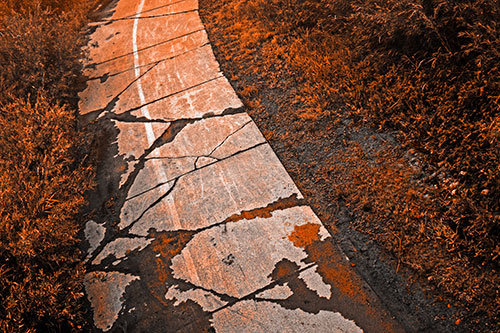 Curving Muddy Concrete Cracked Sidewalk (Orange Tone Photo)