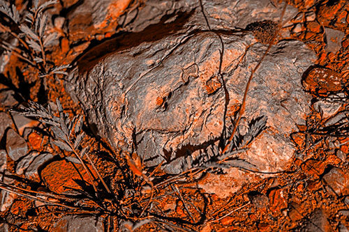 Demonic Leaf Mouthed Rock Face Snarling Among Dirt (Orange Tone)