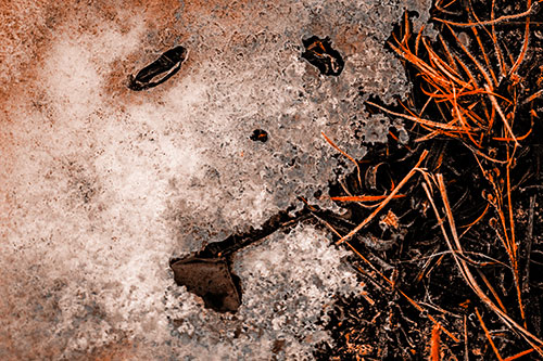 Depressed Snow Face Frowning Among Grass (Orange Tone)