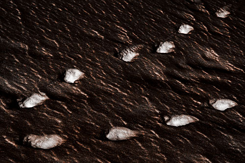 Distancing Snow Footprints (Orange Tone)