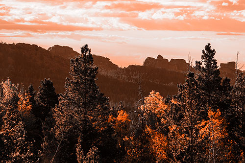 Fall Colors Emerge Infront Of Mountain Range (Orange Tone Photo)