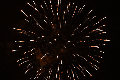 Firework Star Trails Vaporize Among Night Sky (Orange Tone Photo)