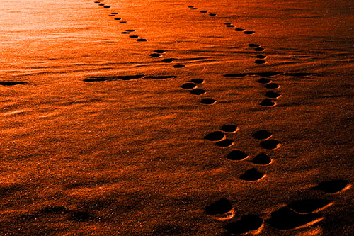 Footprint Trail Across Snow Covered Lake (Orange Tone Photo)