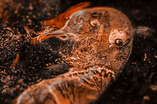 Frozen Distorted Bubble Eyed Ice Face (Orange Tone)